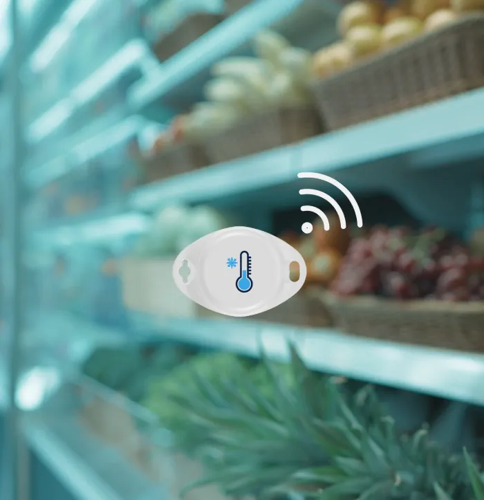 Retail Temperature and Humidity monitoring technology on laptop